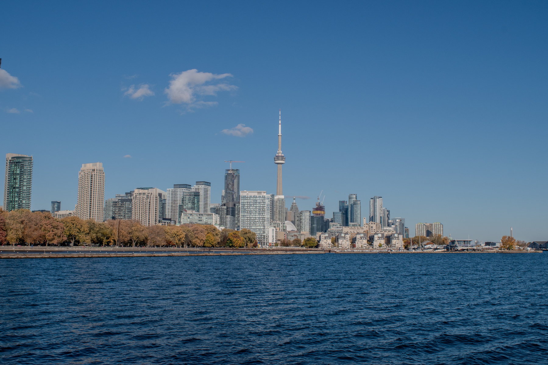 A city skyline with a prominent tower stands against a clear blue sky, viewed from across a body of water.