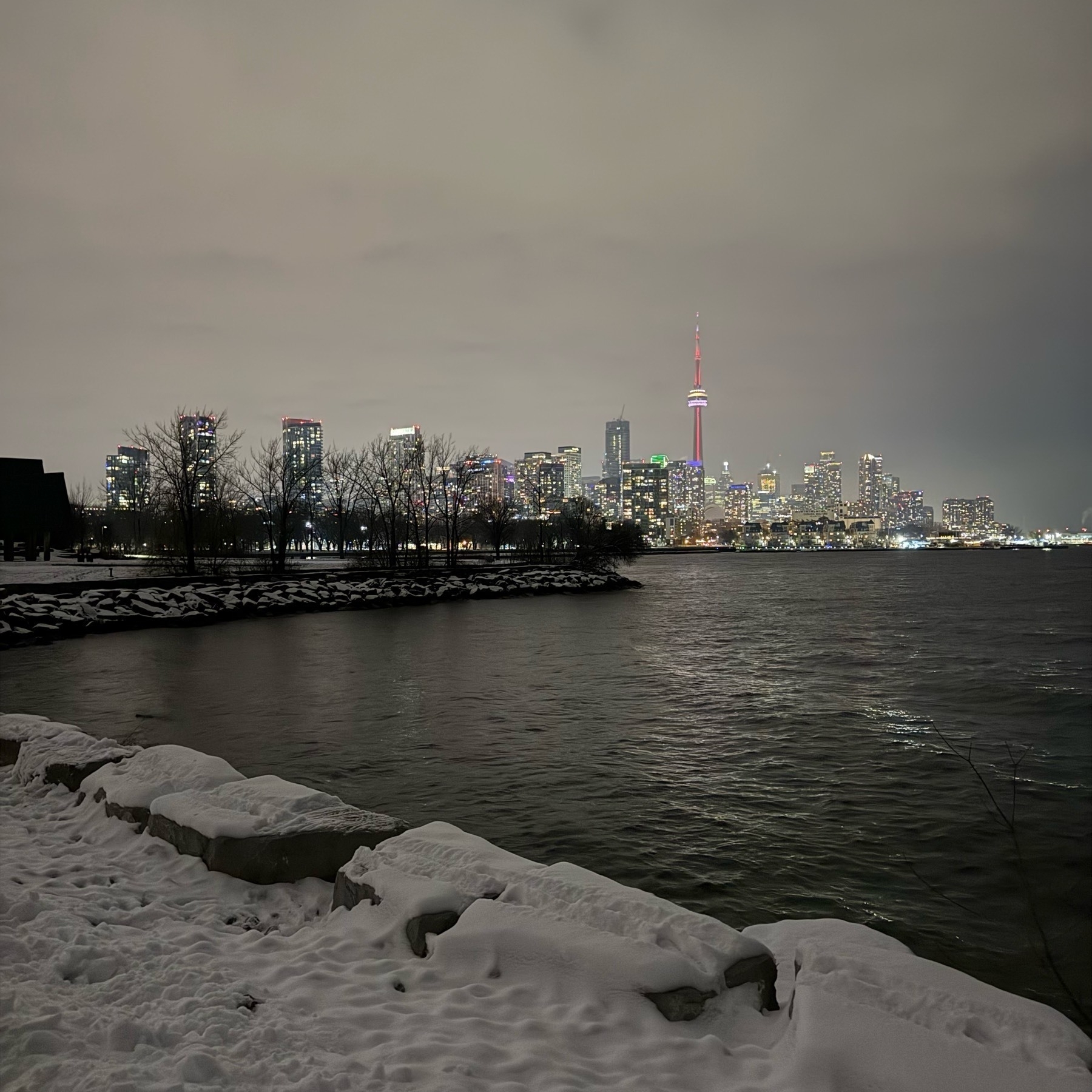 Skyline of Toronto as seen from Trillium Park.