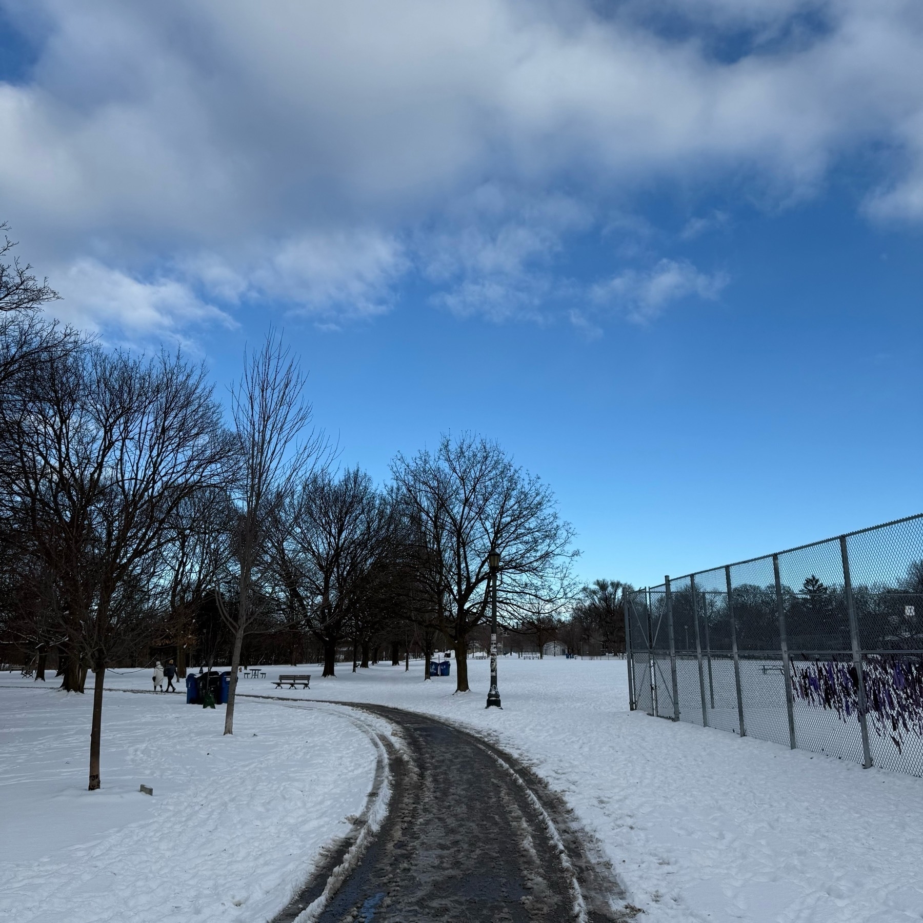 Une photo enneigée du Trinity Bellwoods Park à Toronto avec un ciel bleu et quelques nuages.